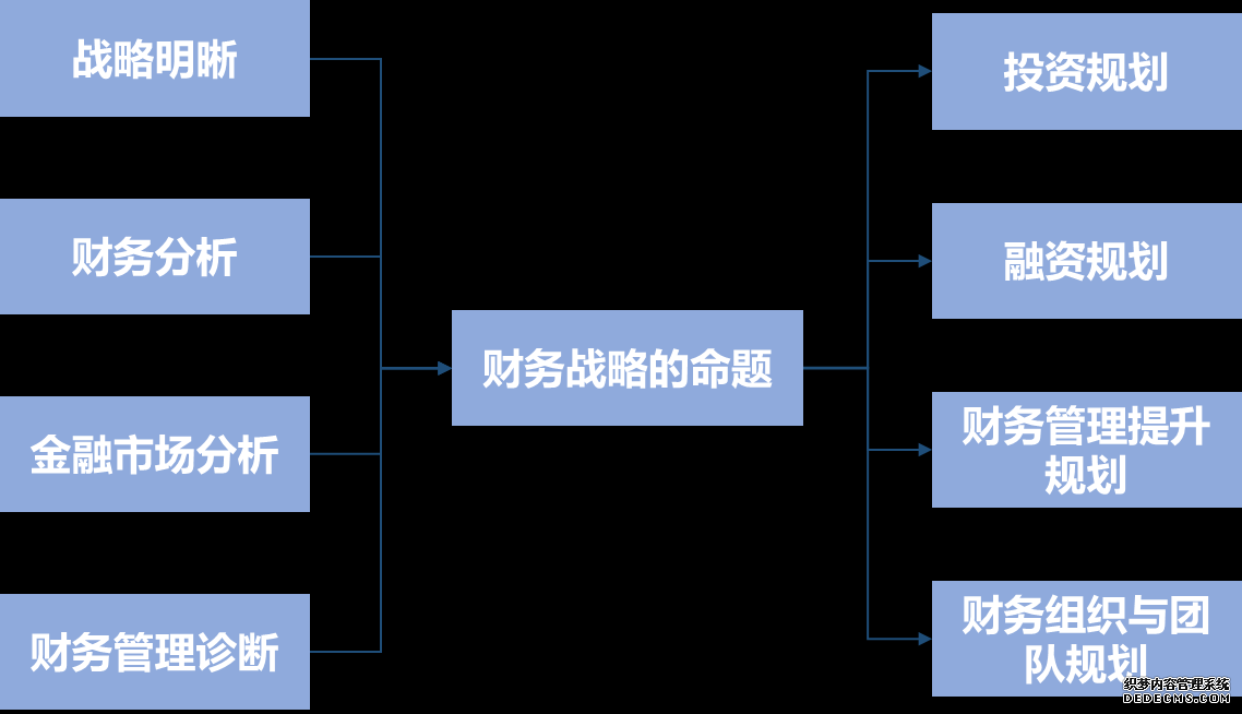 财务战略